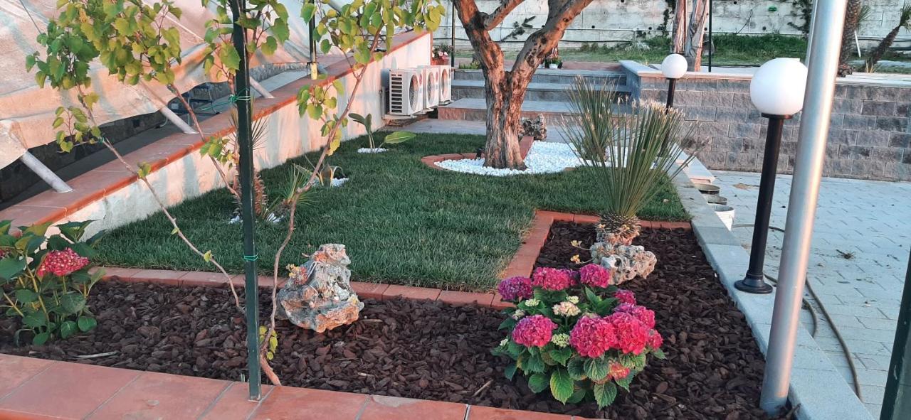 Villa Mola Bed And Breakfast Corbara  Exterior photo
