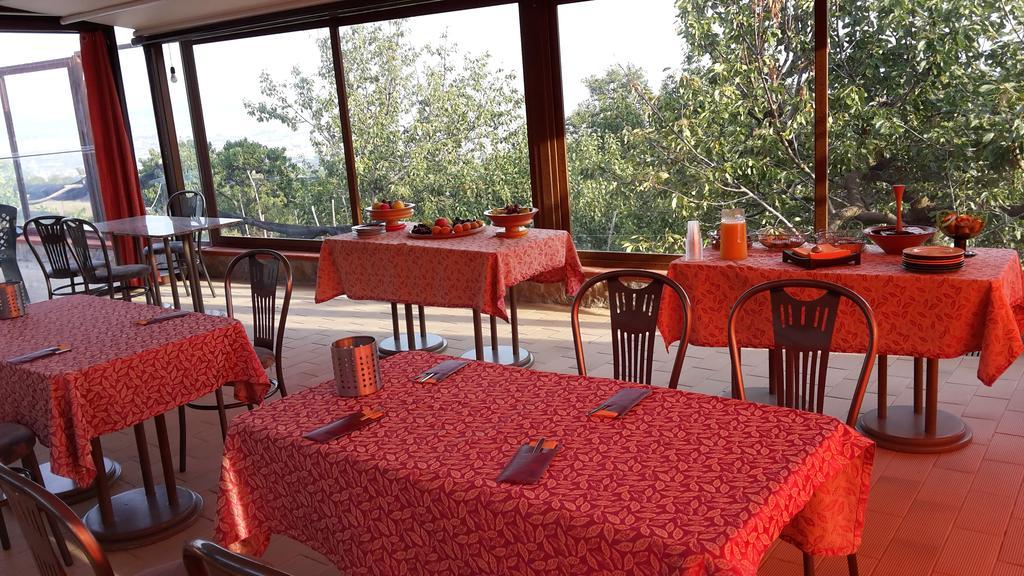 Villa Mola Bed And Breakfast Corbara  Exterior photo
