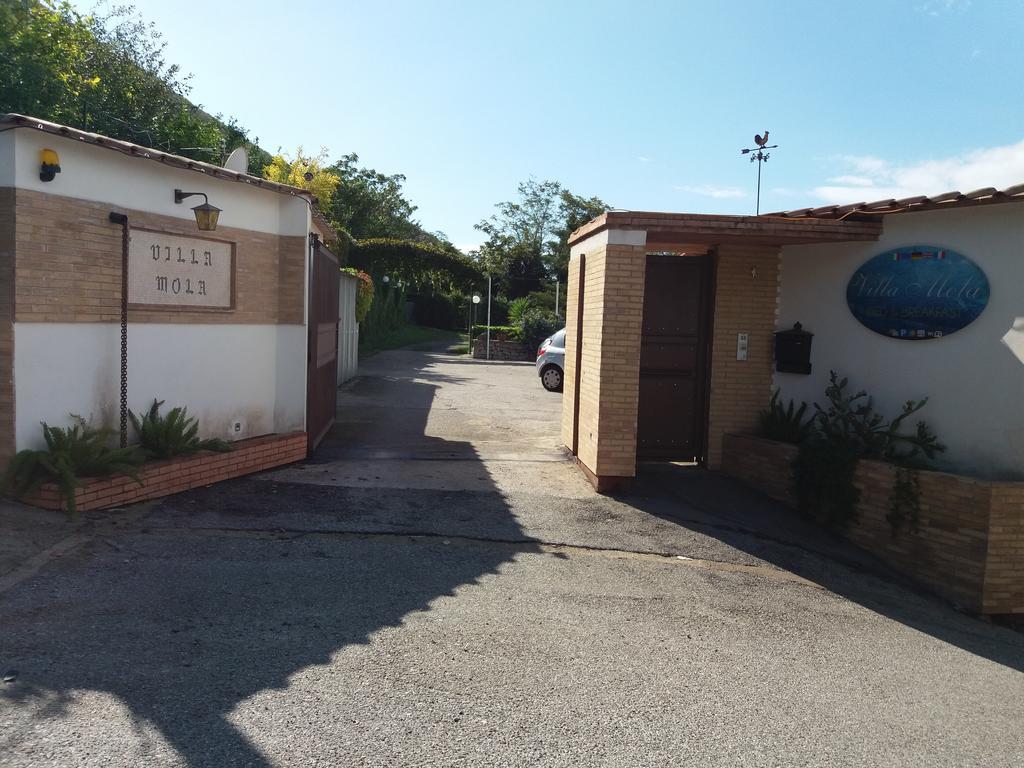 Villa Mola Bed And Breakfast Corbara  Exterior photo